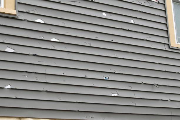 Custom Trim and Detailing for Siding in Laguna Hills, CA